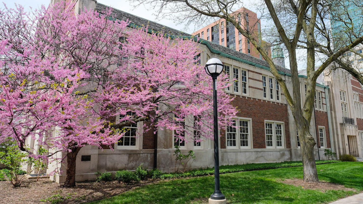 External side view of the University of Michigan Student Publications building after roof restoration behind small trees with pink blooms.